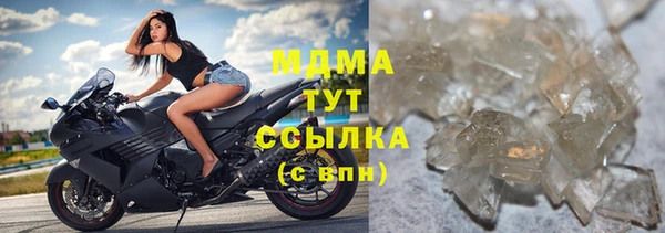 PSILOCYBIN Бородино