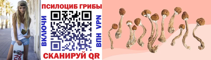 где можно купить   Монино  Галлюциногенные грибы Magic Shrooms 